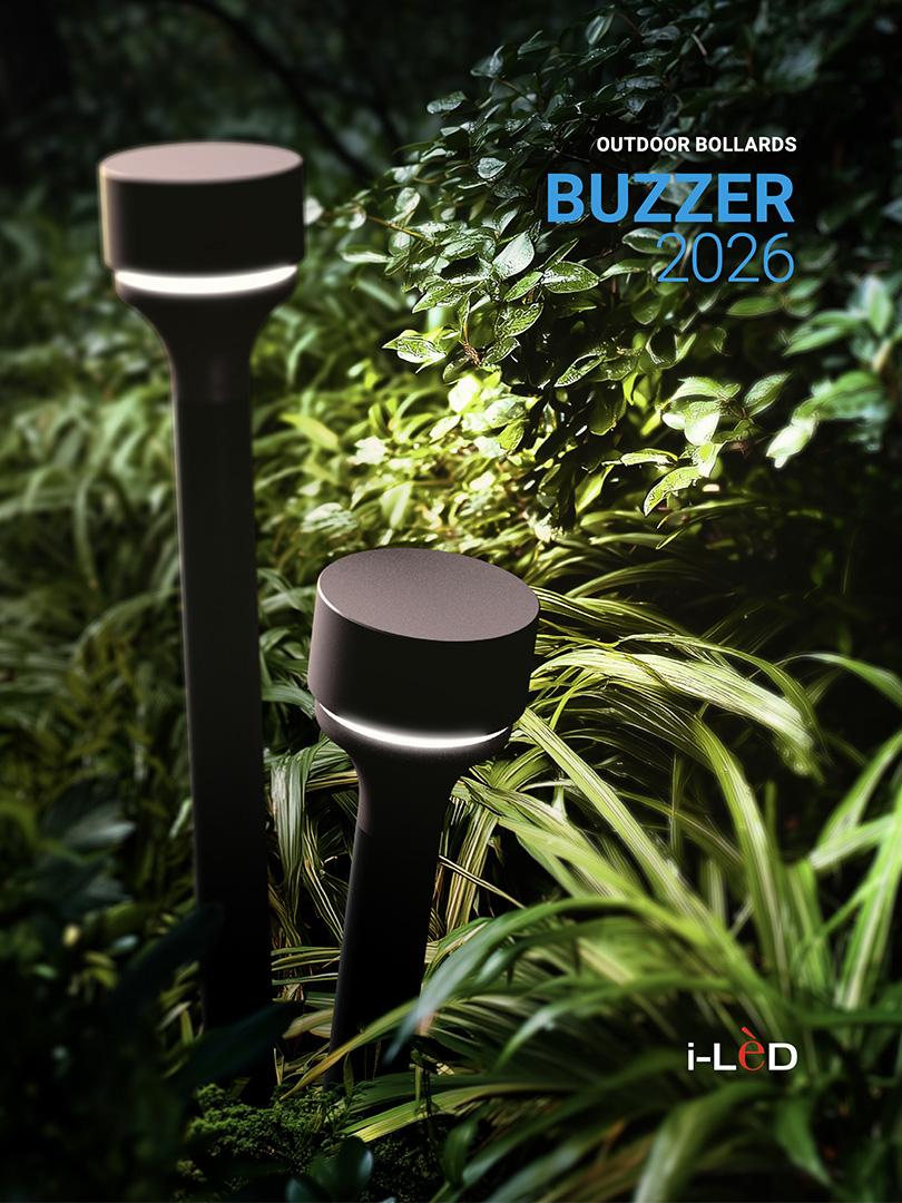 Buzzer Mini Cover Brochure 810X1080