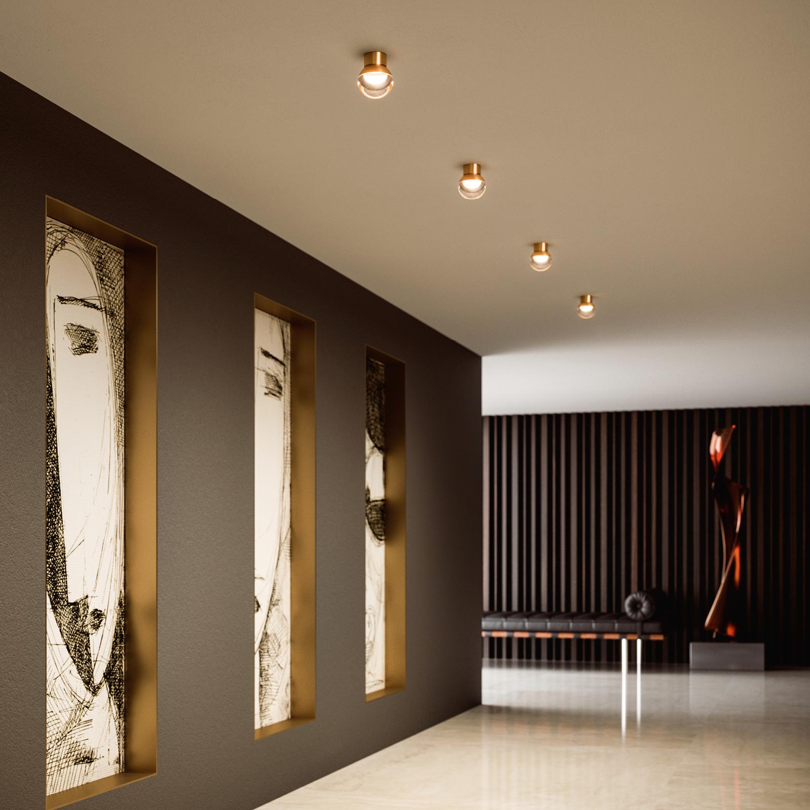 Gallery Product Rossini S Linealightgroup Xxx