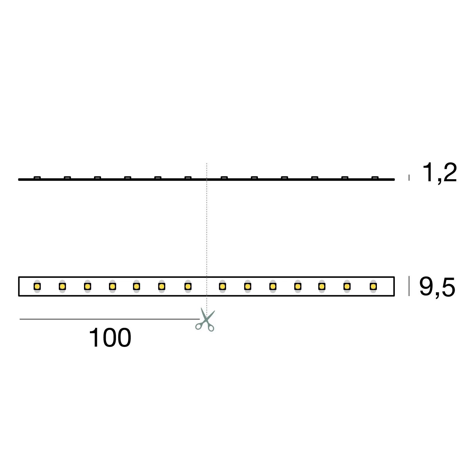 Ribbon Plus Hi-Flux 70 LEDs/m